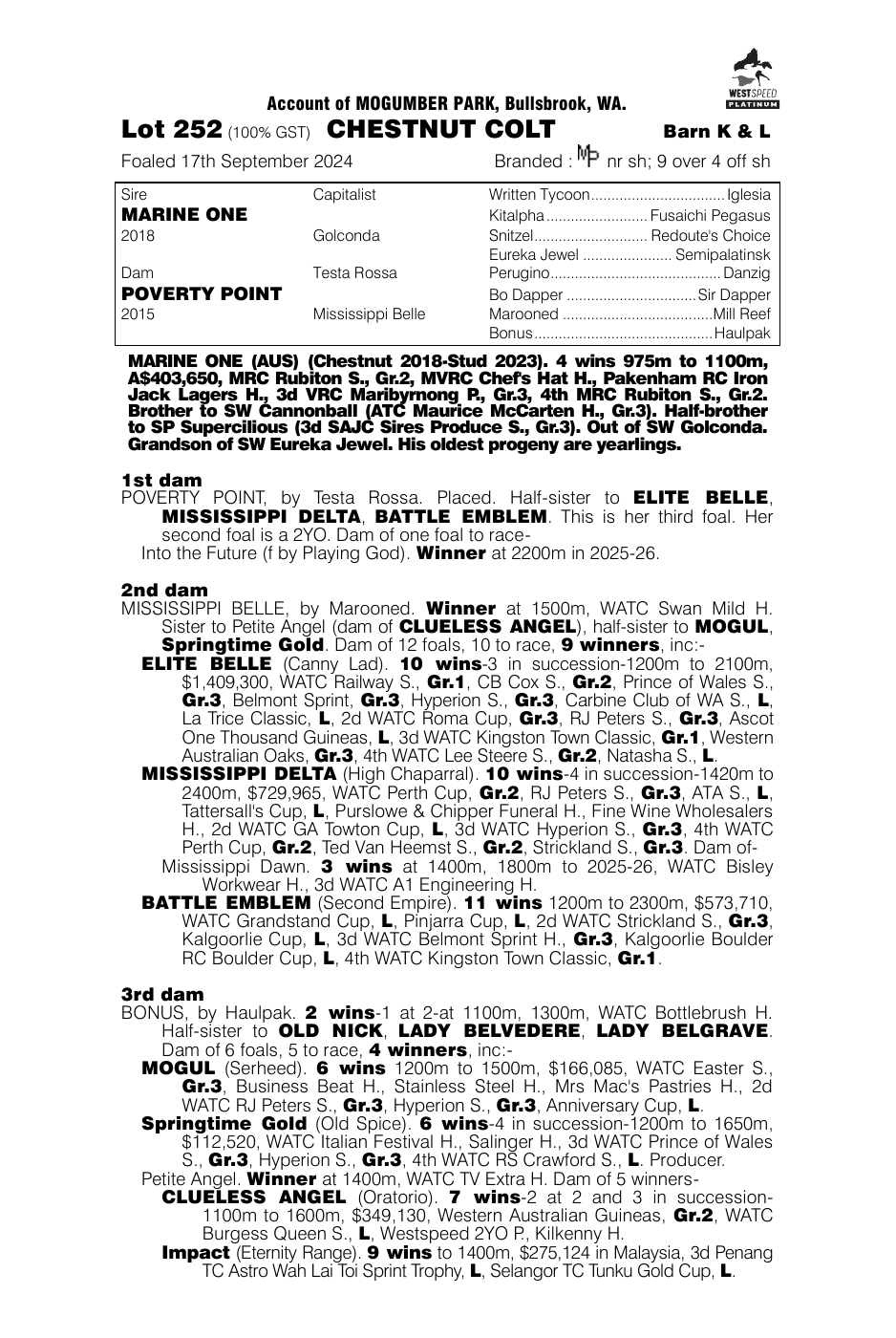 Pedigree - Lot 252
