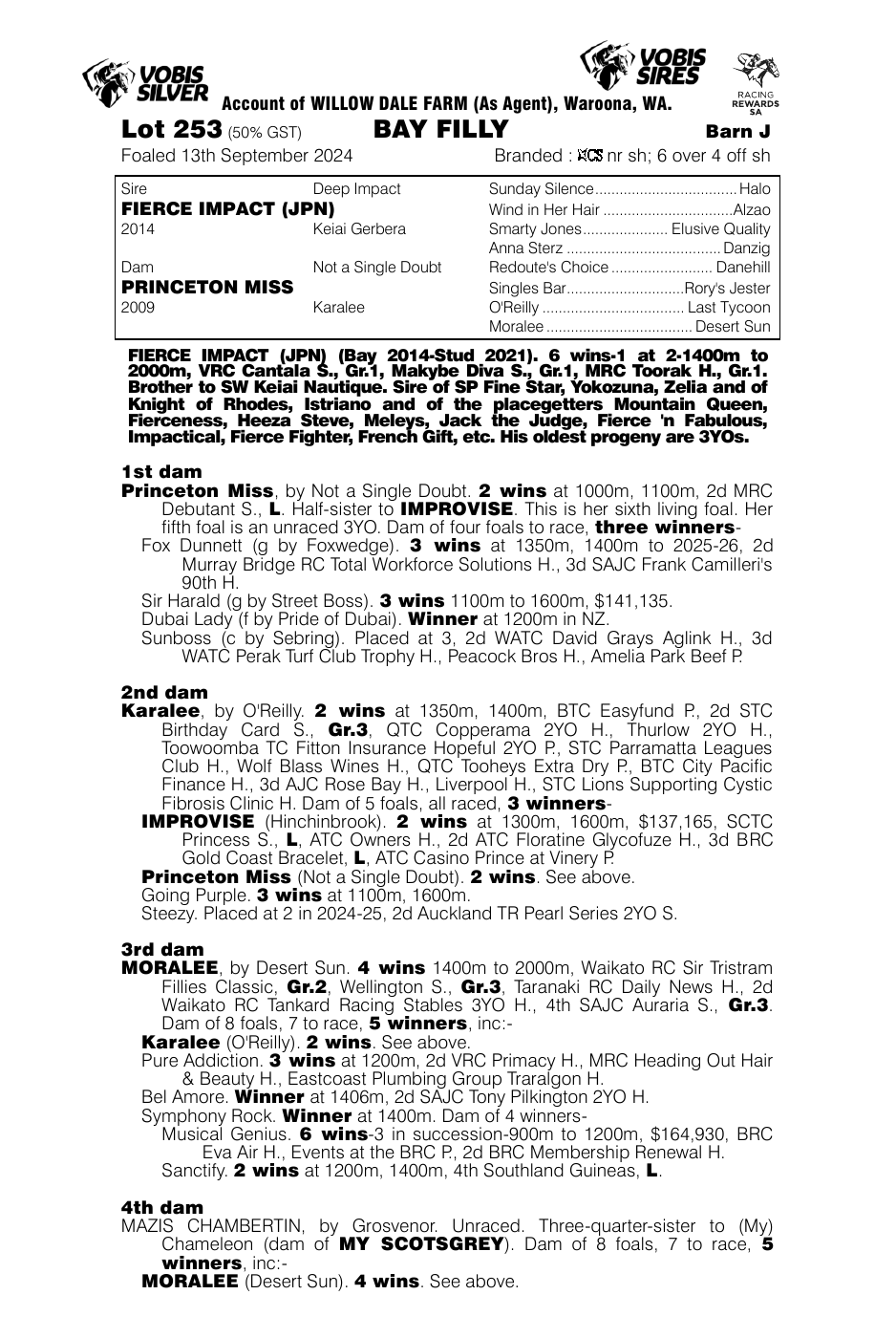 Pedigree - Lot 253