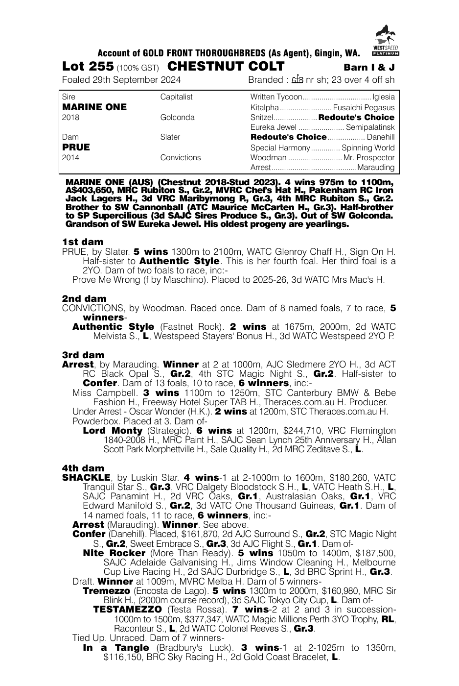 Pedigree - Lot 255