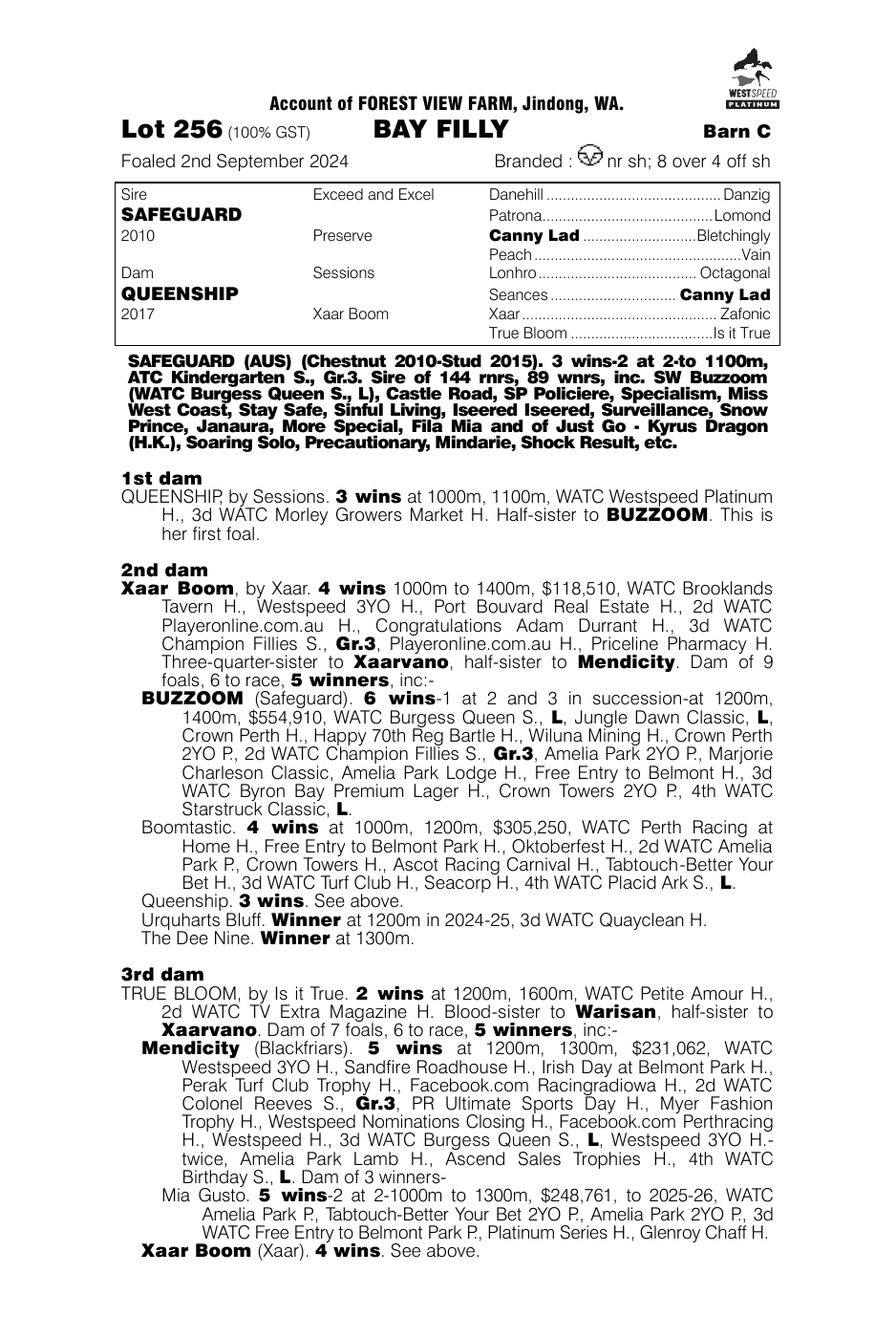Pedigree - Lot 256