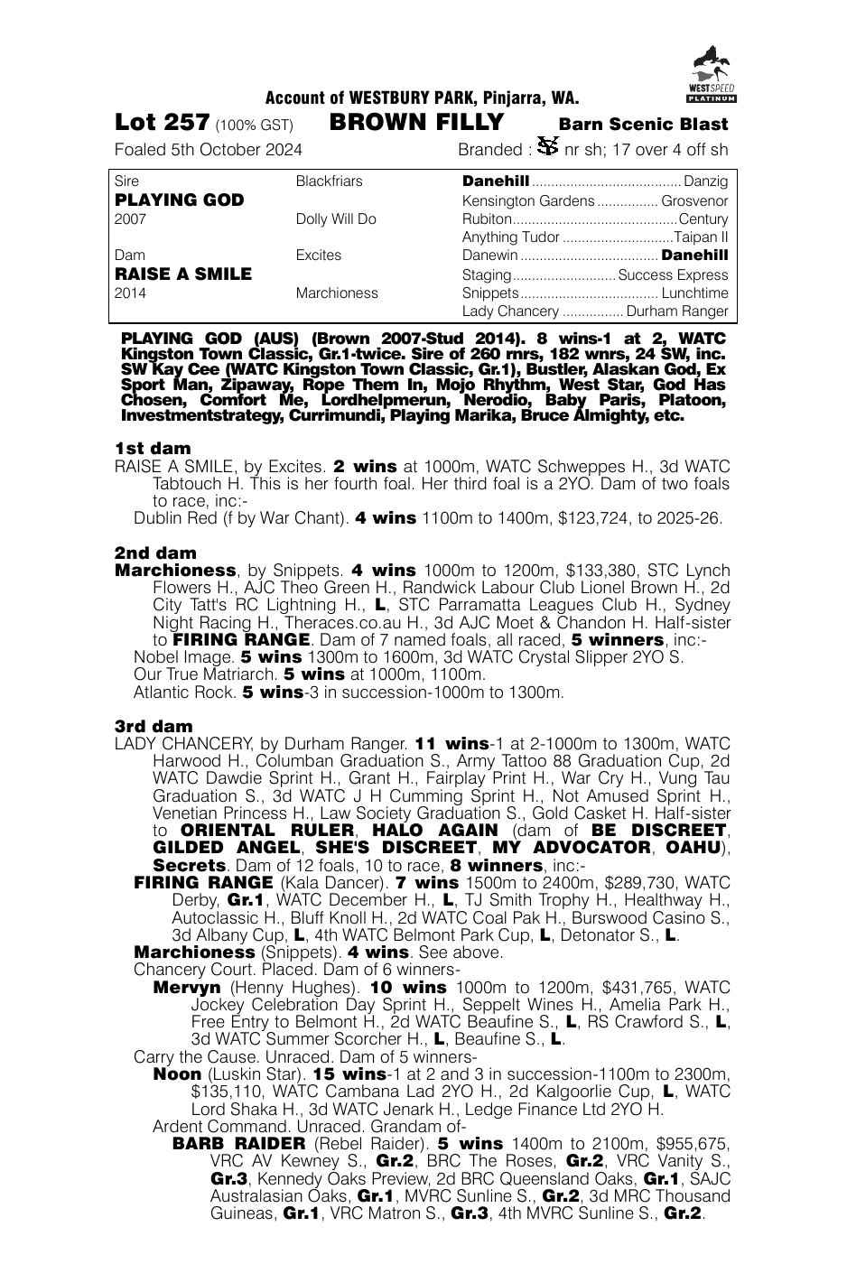 Pedigree - Lot 257