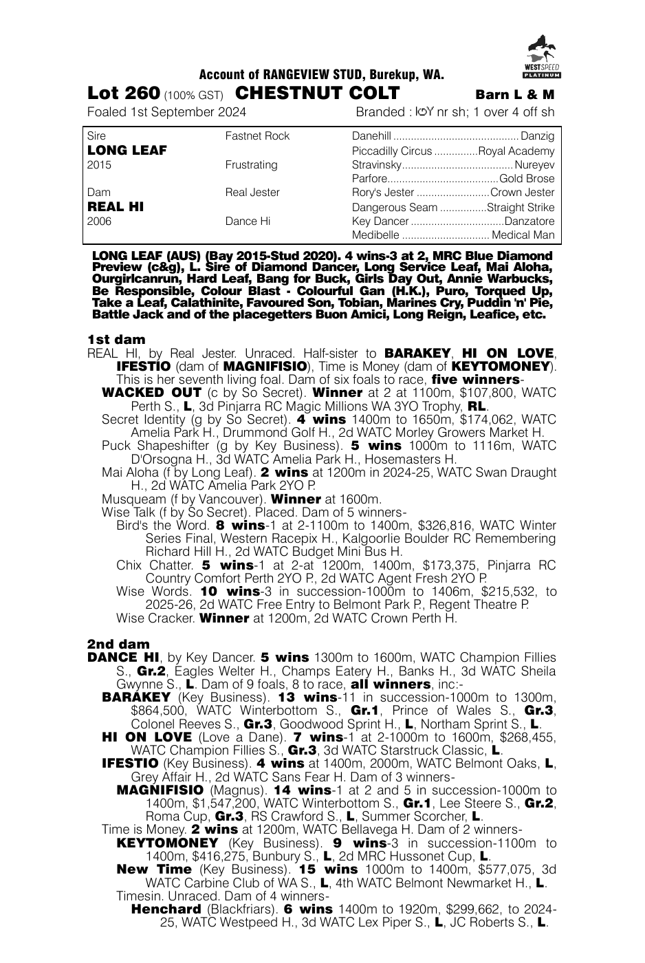Pedigree - Lot 260