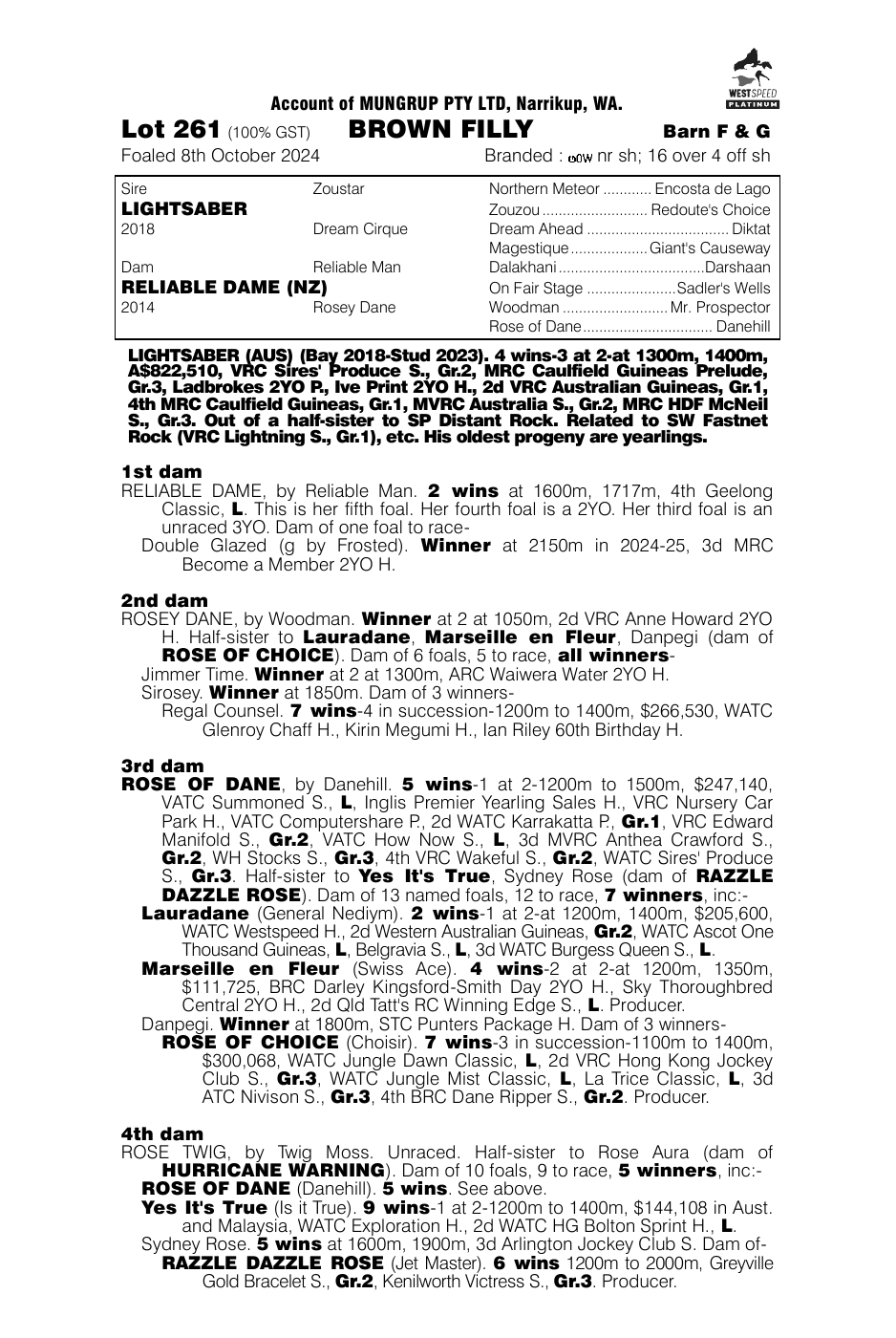 Pedigree - Lot 261