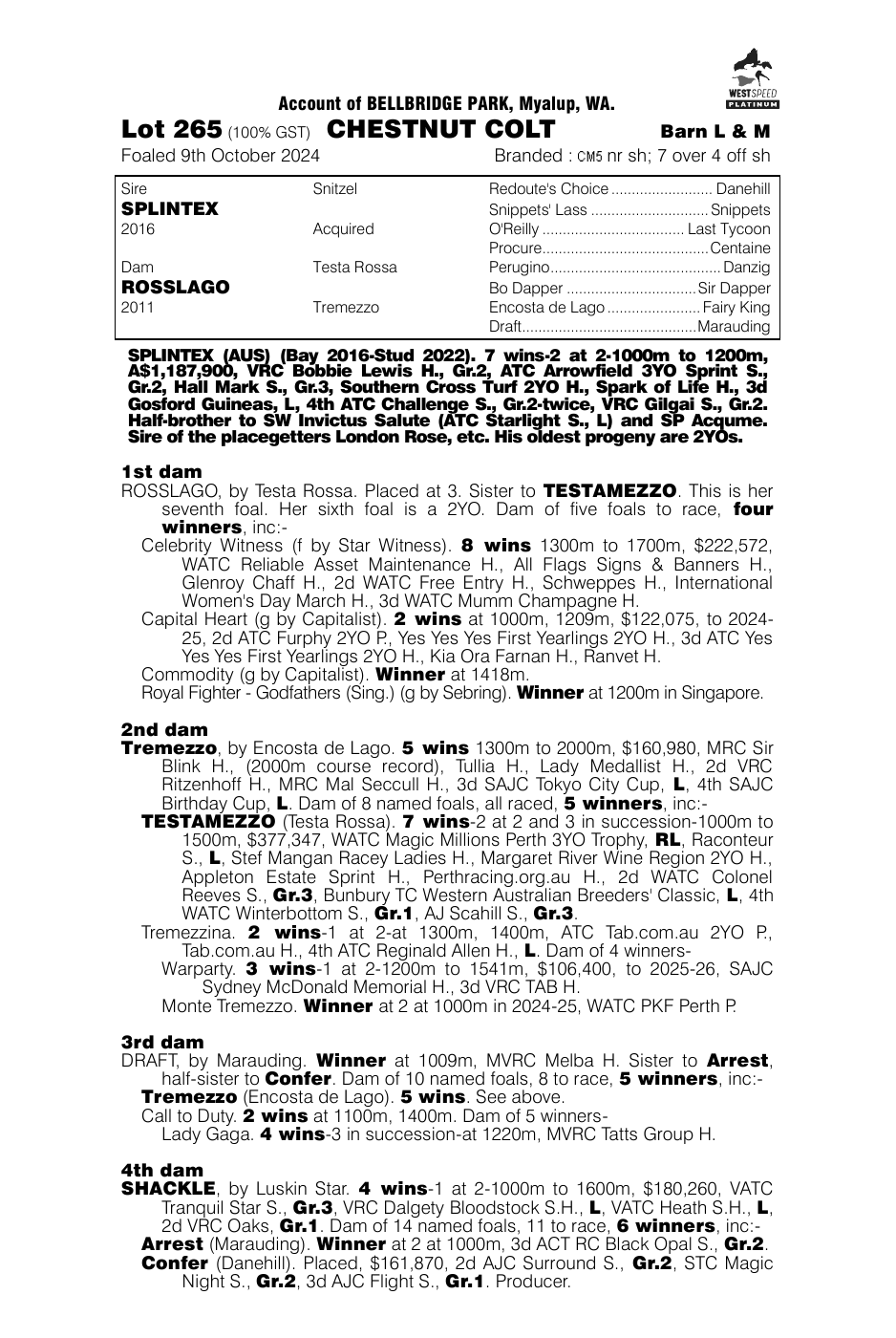 Pedigree - Lot 265