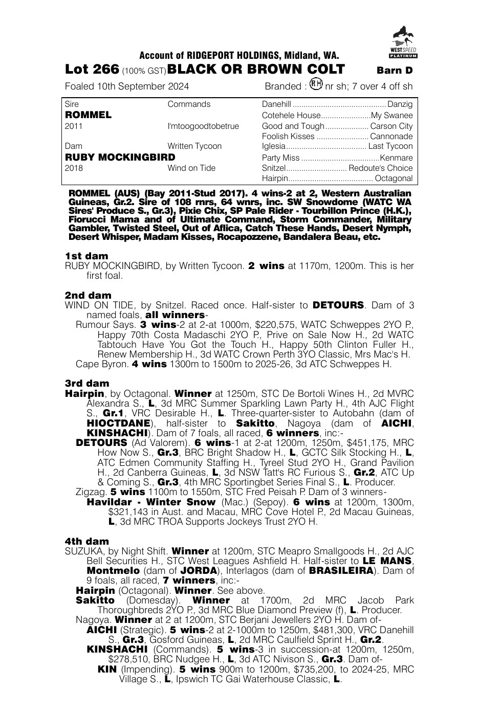 Pedigree - Lot 266