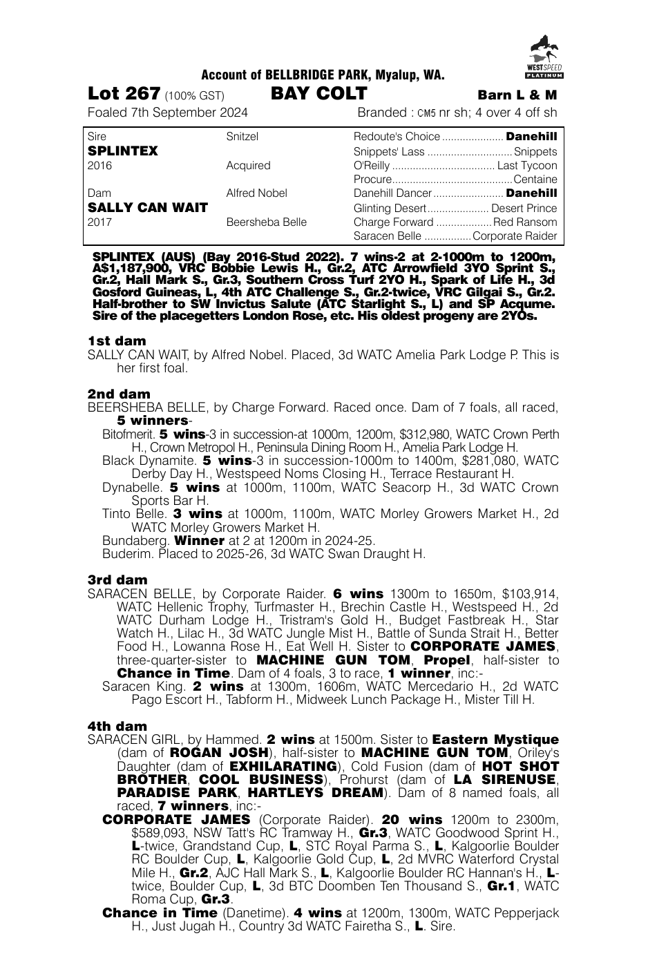 Pedigree - Lot 267