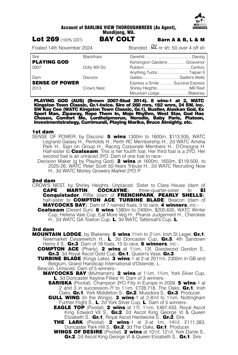 Pedigree - Lot 269