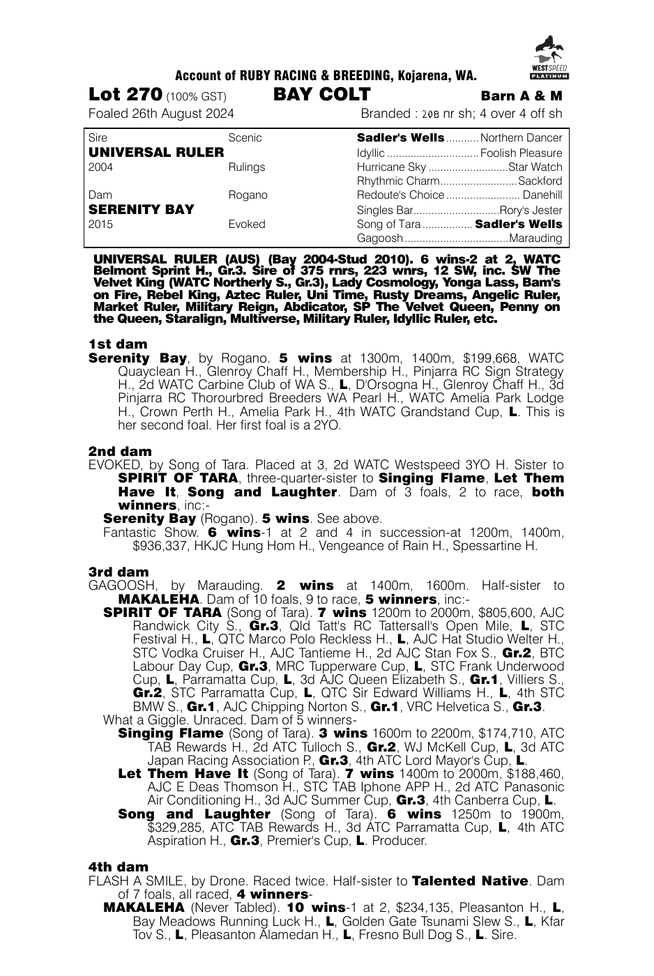 Pedigree - Lot 270
