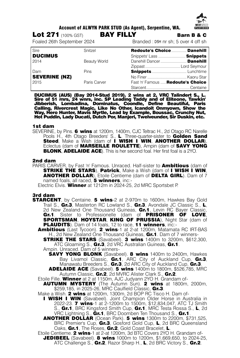 Pedigree - Lot 271