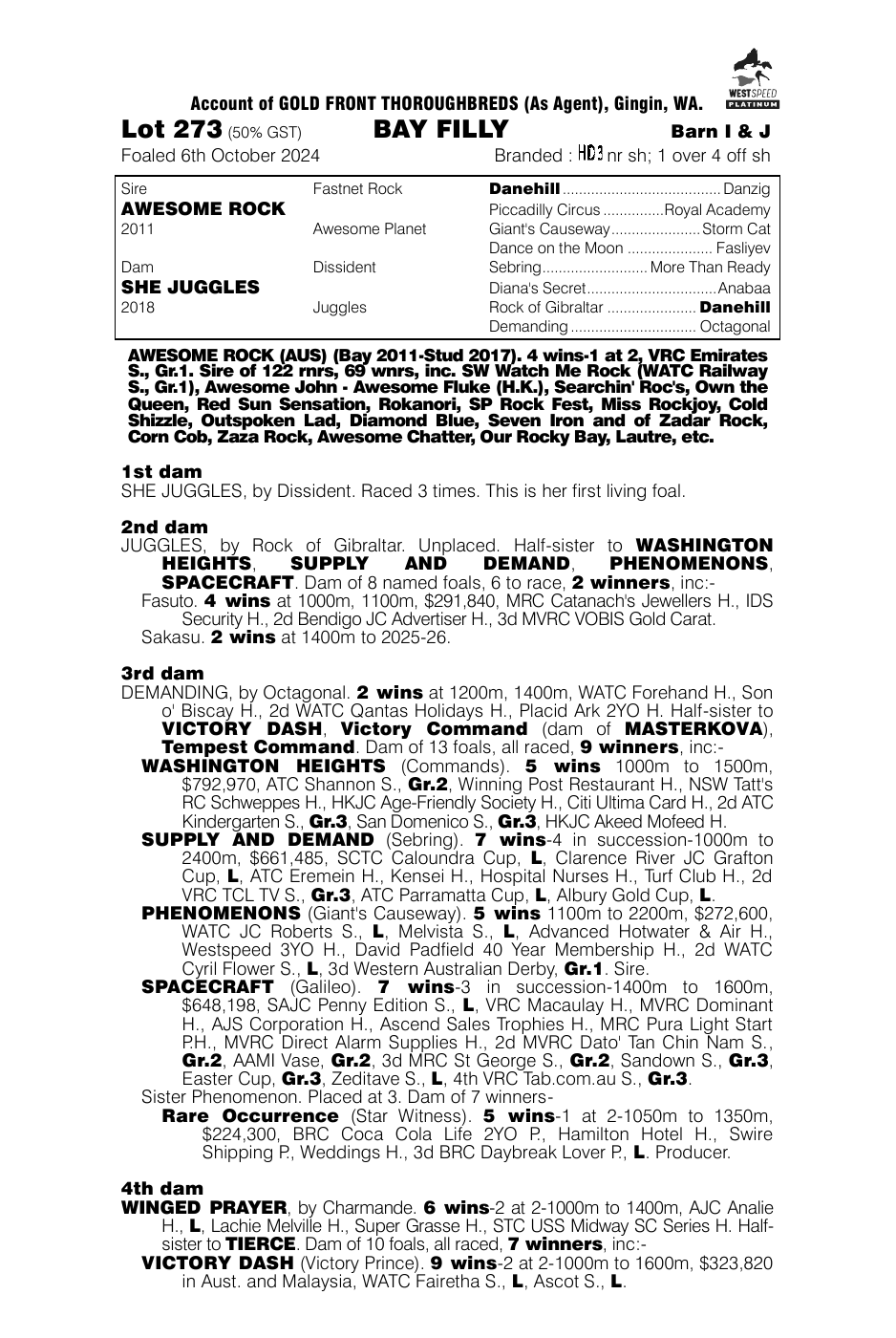 Pedigree - Lot 273