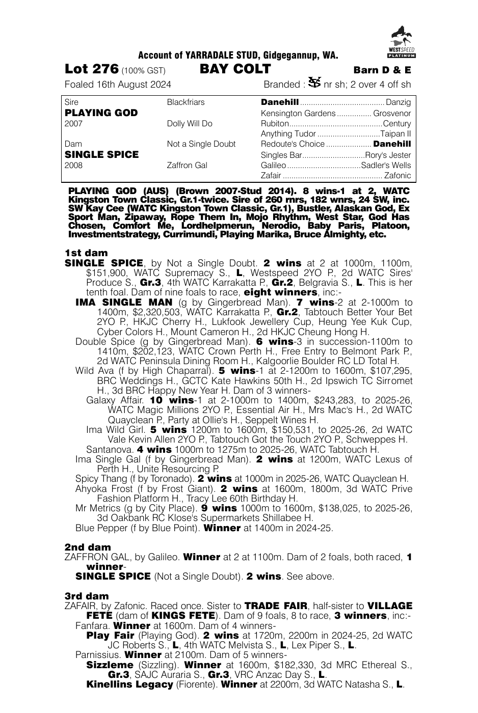 Pedigree - Lot 276