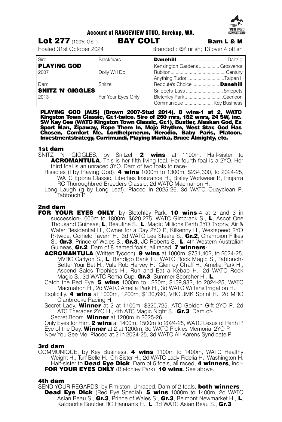 Pedigree - Lot 277