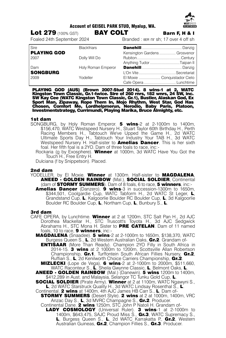 Pedigree - Lot 279