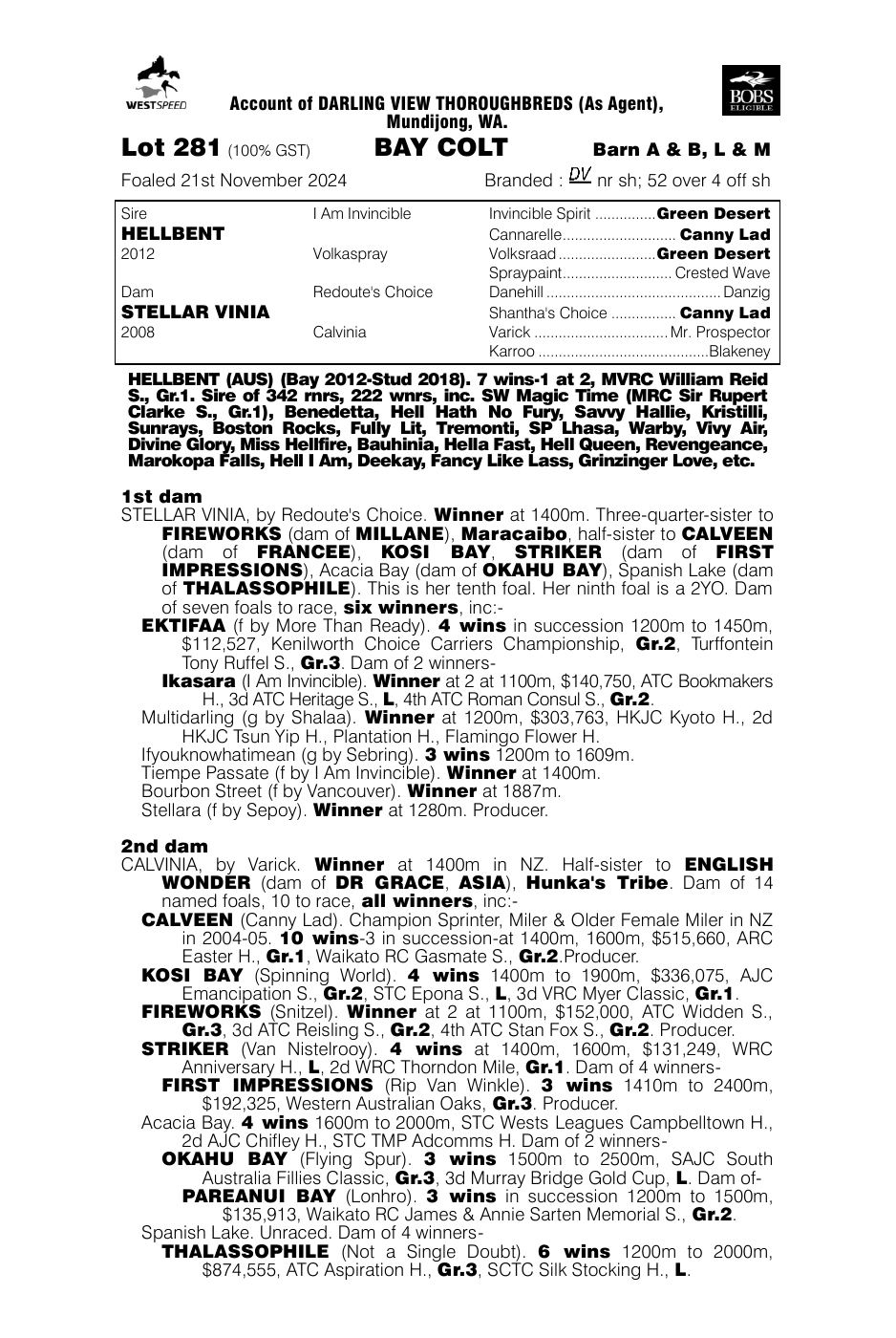 Pedigree - Lot 281