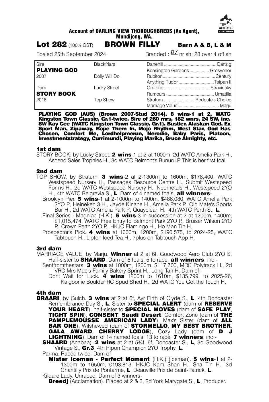 Pedigree - Lot 282