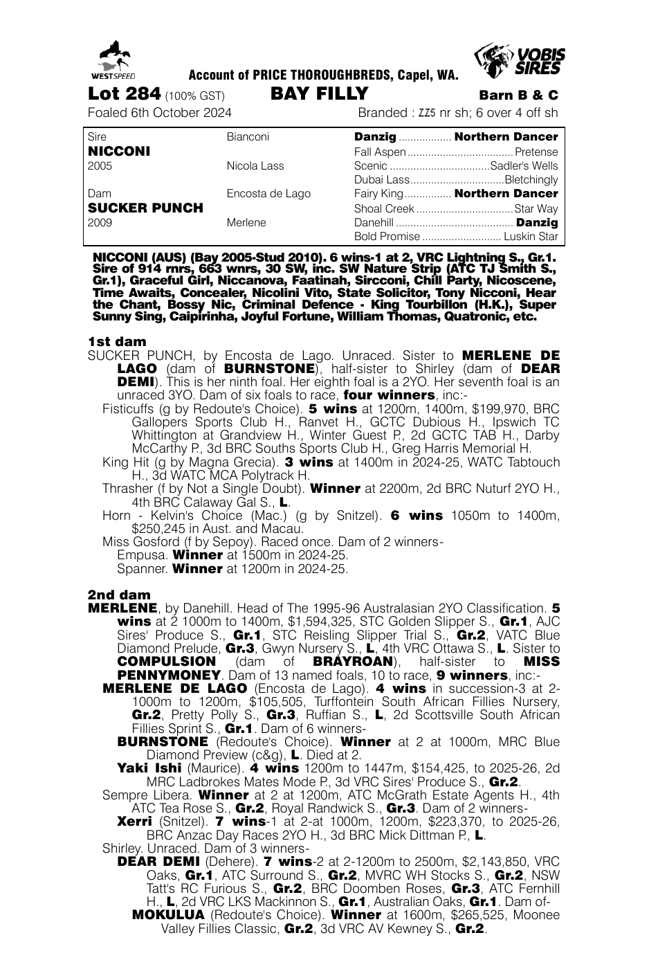 Pedigree - Lot 284