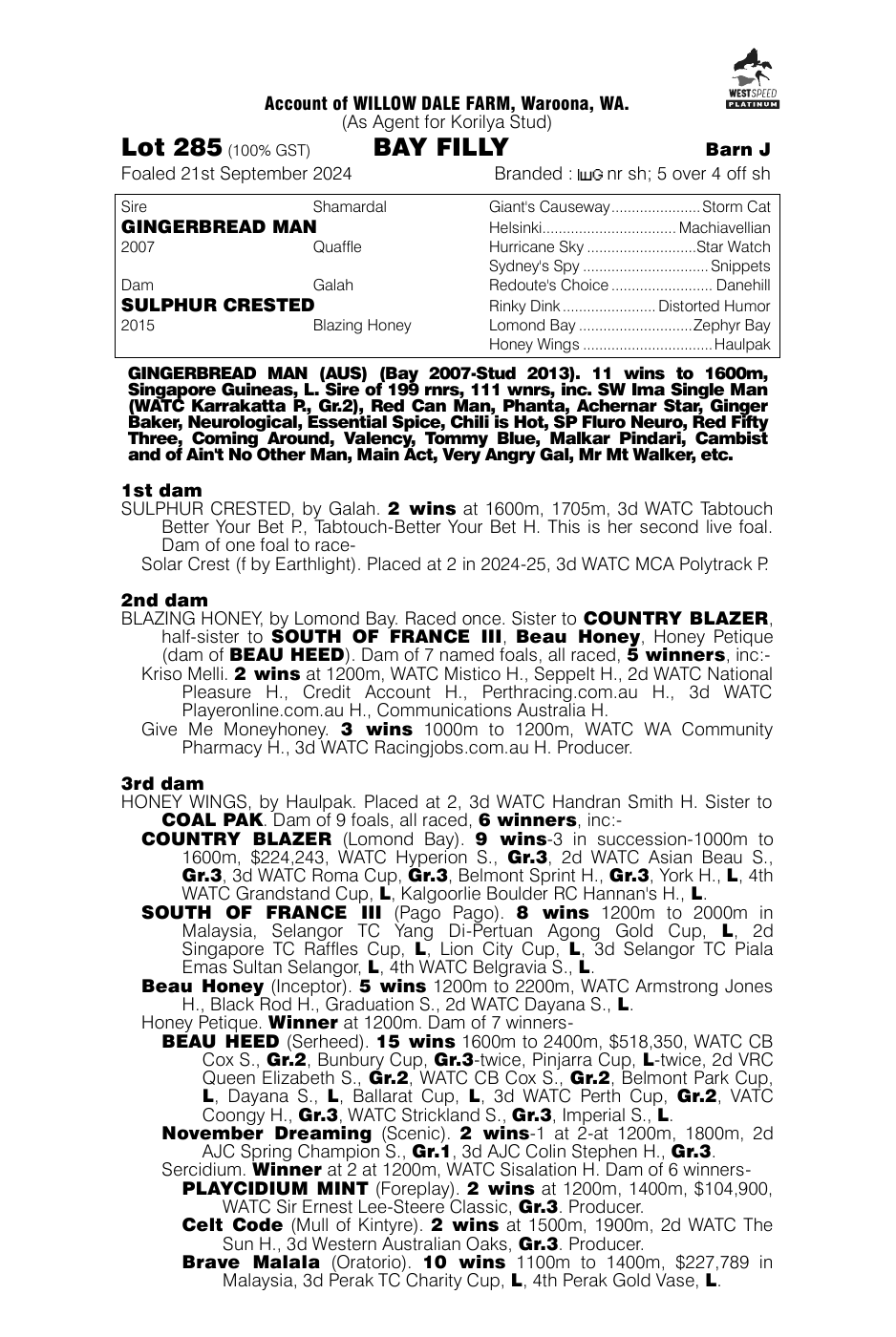 Pedigree - Lot 285