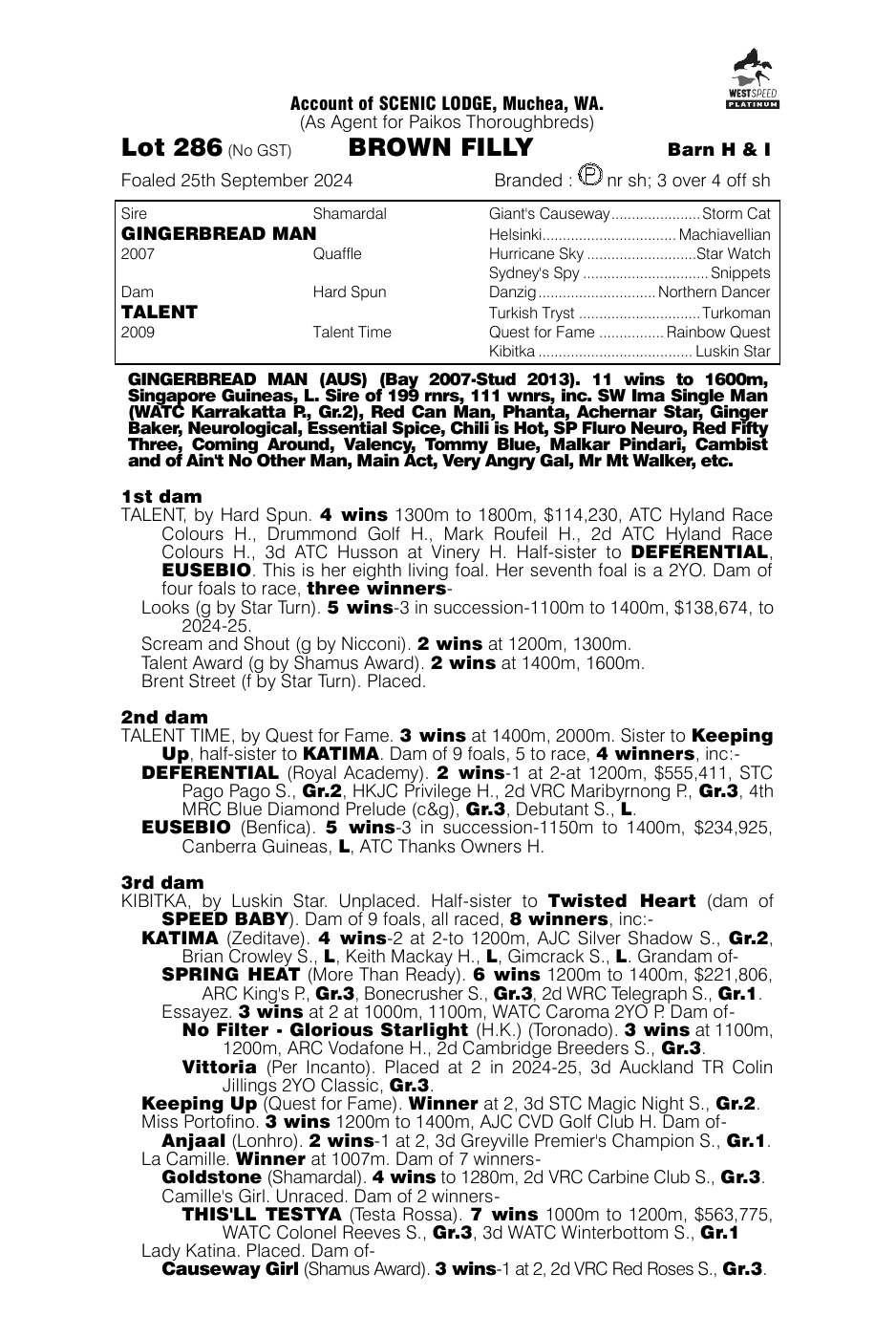 Pedigree - Lot 286