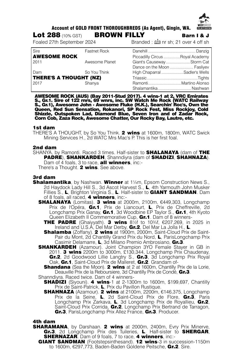 Pedigree - Lot 288