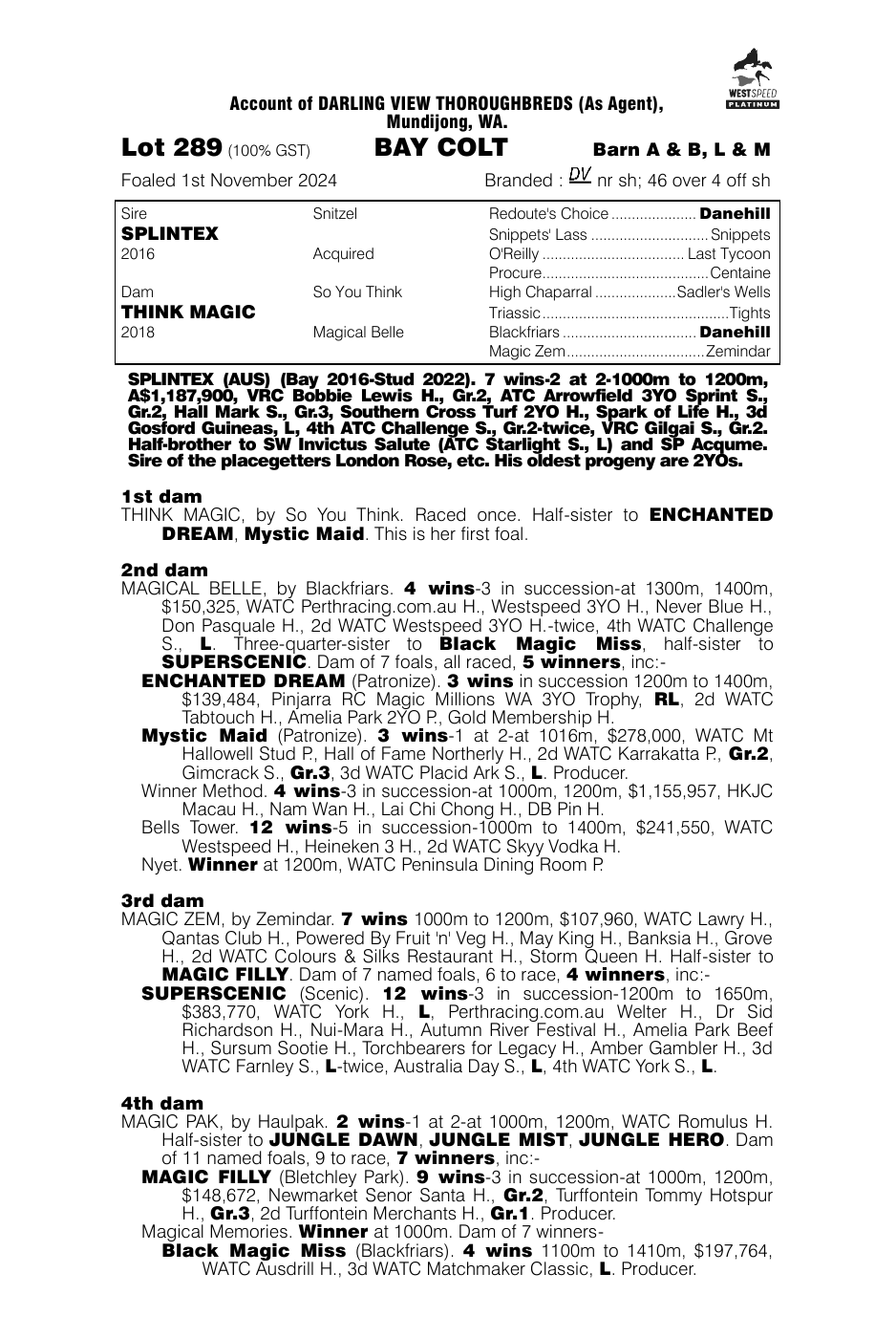 Pedigree - Lot 289