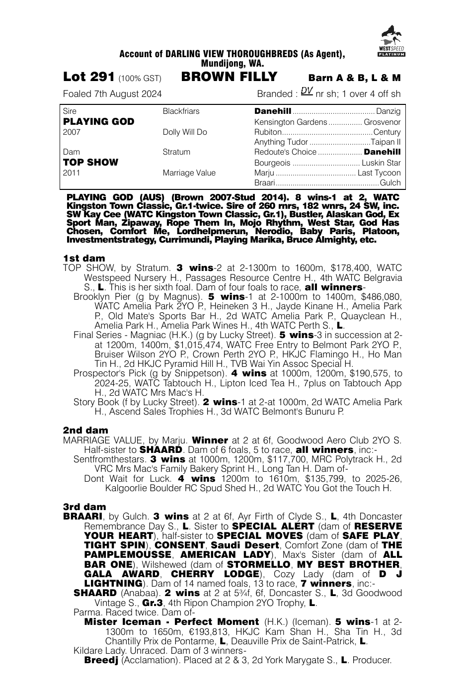 Pedigree - Lot 291