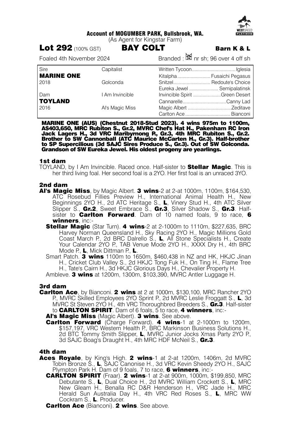 Pedigree - Lot 292
