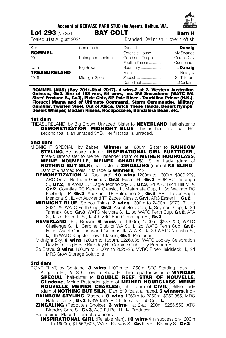 Pedigree - Lot 293