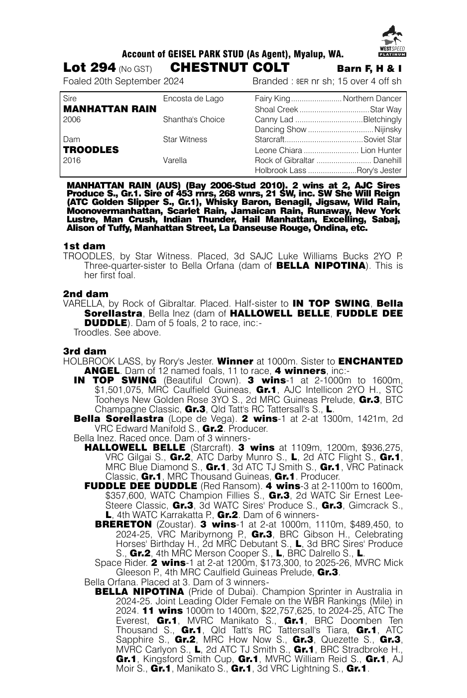 Pedigree - Lot 294