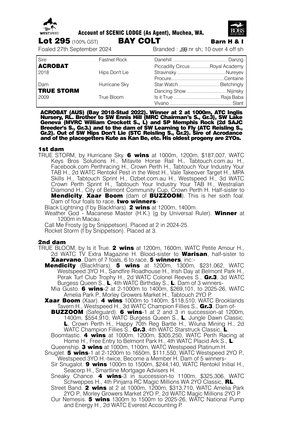 Pedigree - Lot 295