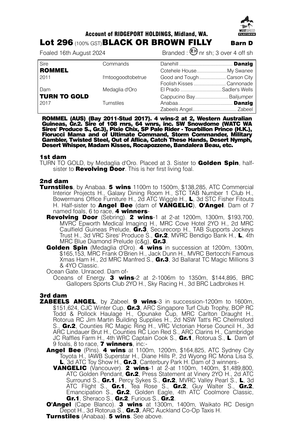 Pedigree - Lot 296