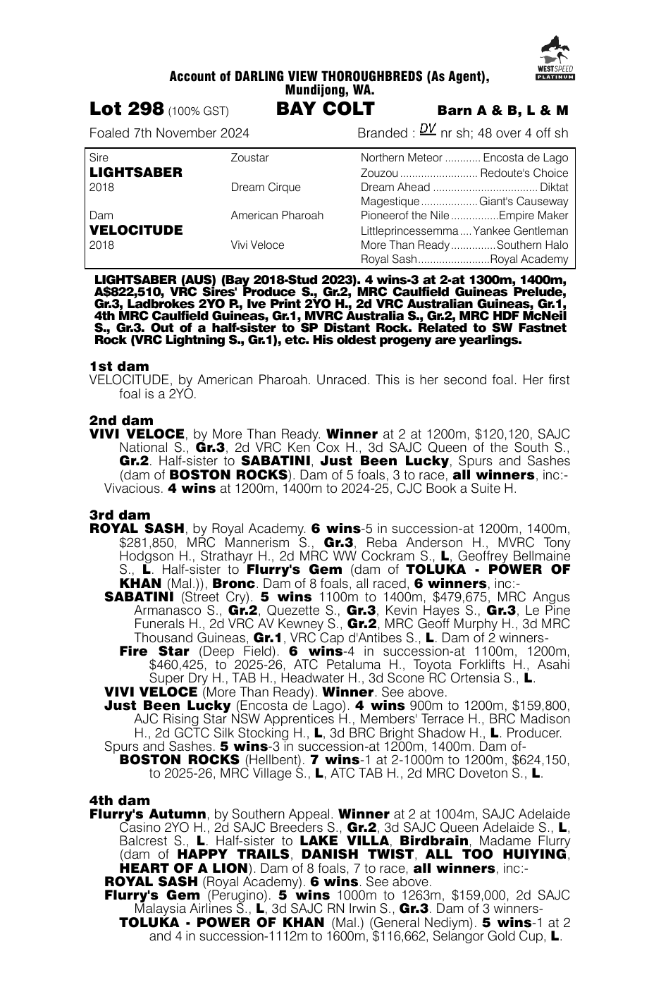 Pedigree - Lot 298