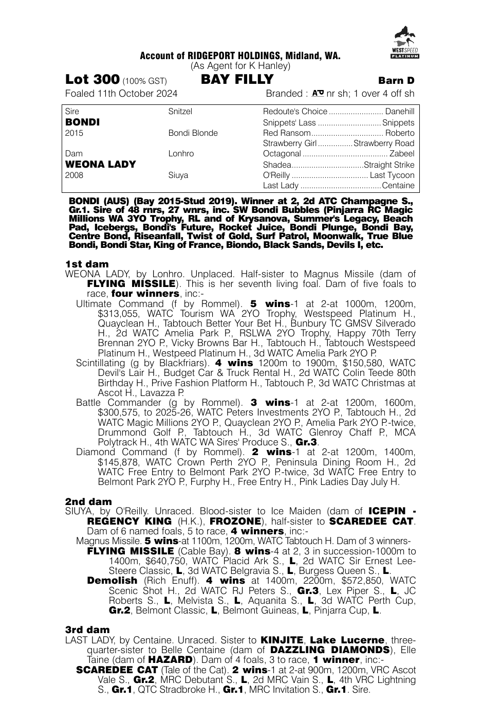 Pedigree - Lot 300
