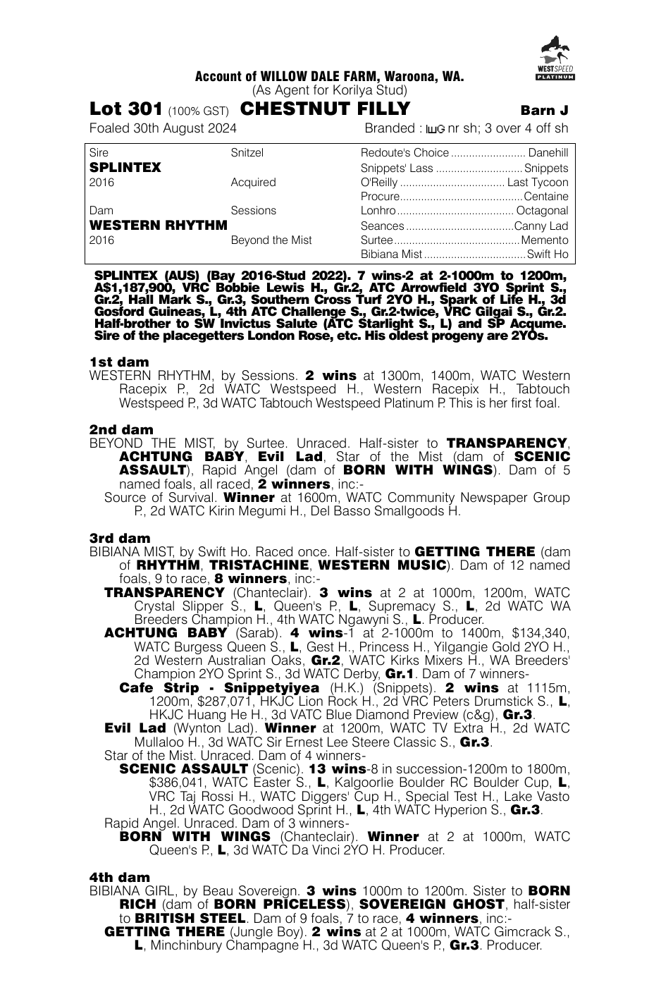 Pedigree - Lot 301