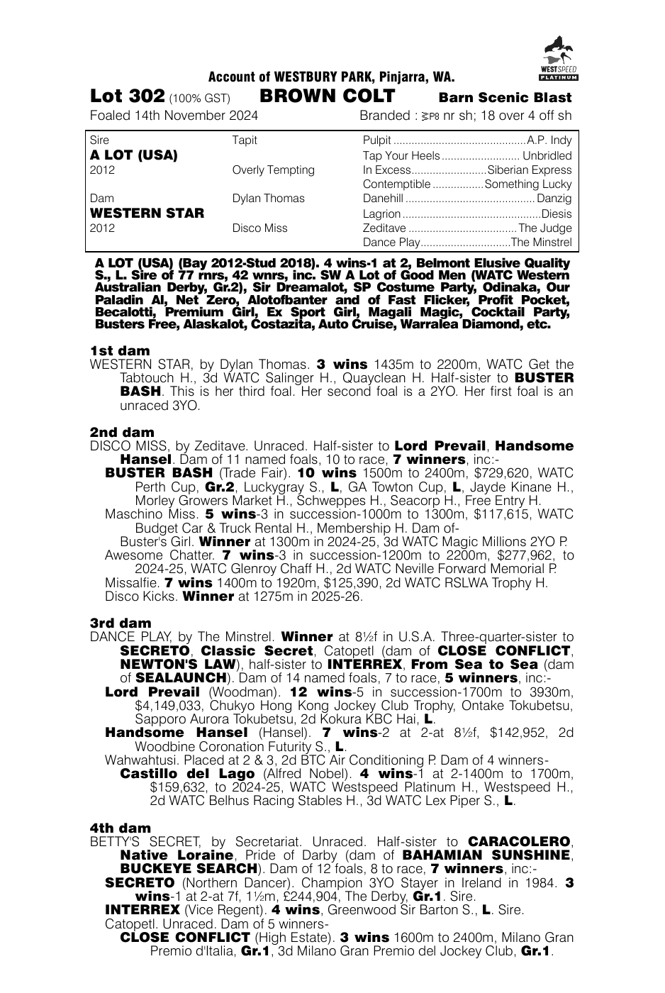 Pedigree - Lot 302