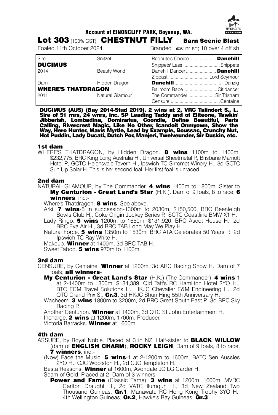 Pedigree - Lot 303