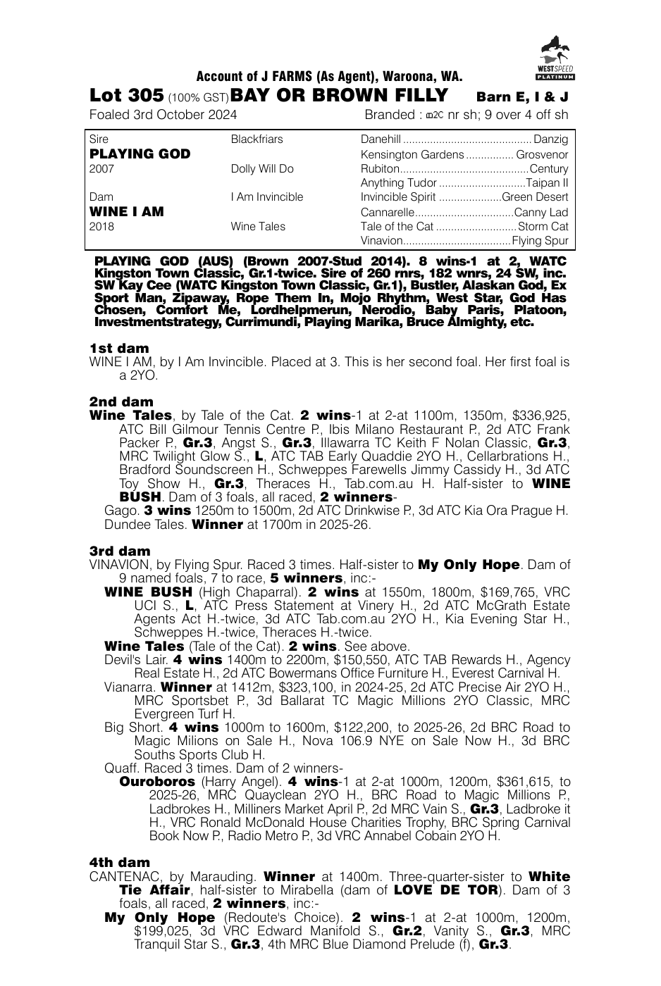 Pedigree - Lot 305