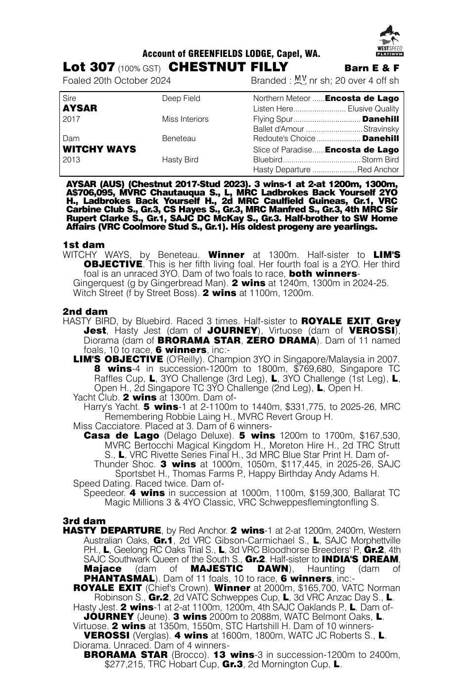 Pedigree - Lot 307
