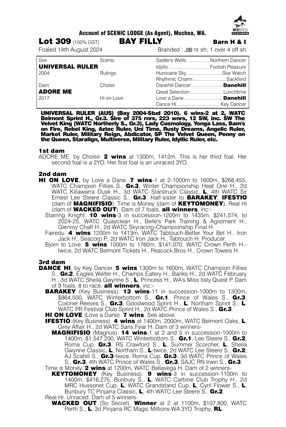 Pedigree - Lot 309