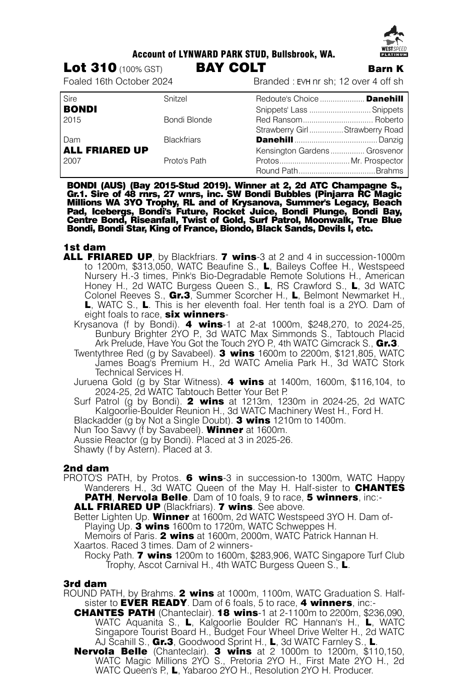 Pedigree - Lot 310