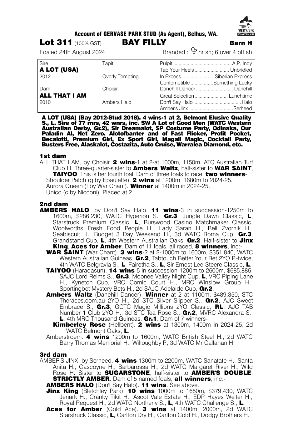 Pedigree - Lot 311