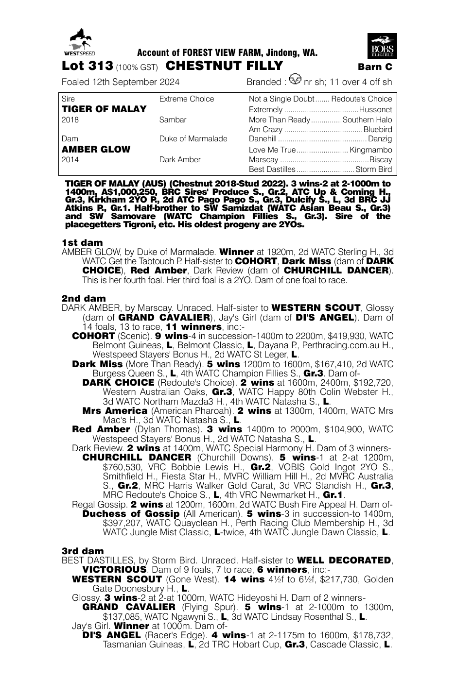 Pedigree - Lot 313