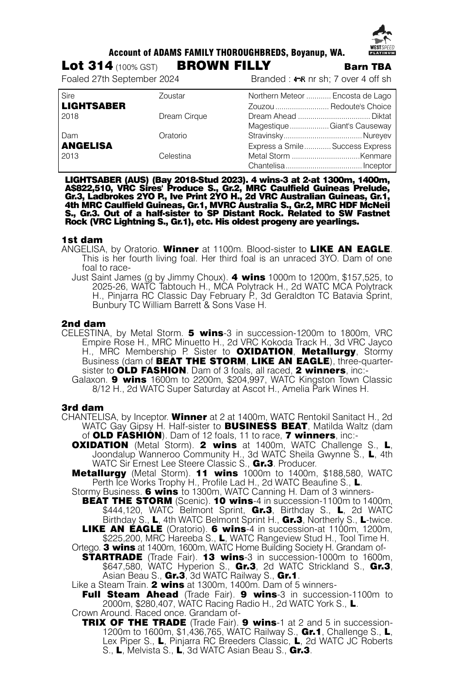 Pedigree - Lot 314