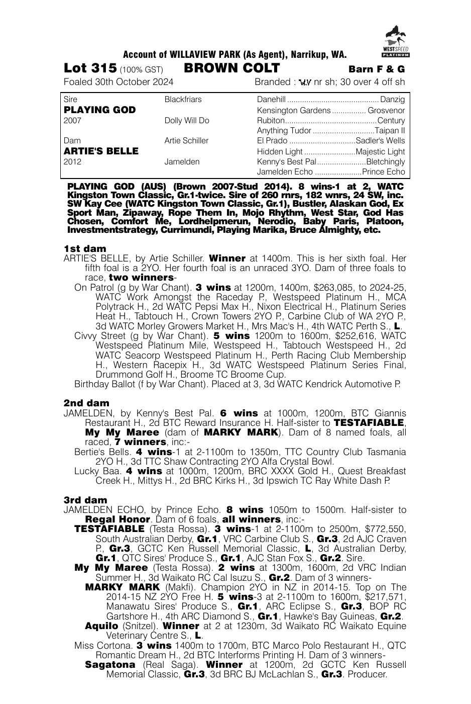 Pedigree - Lot 315