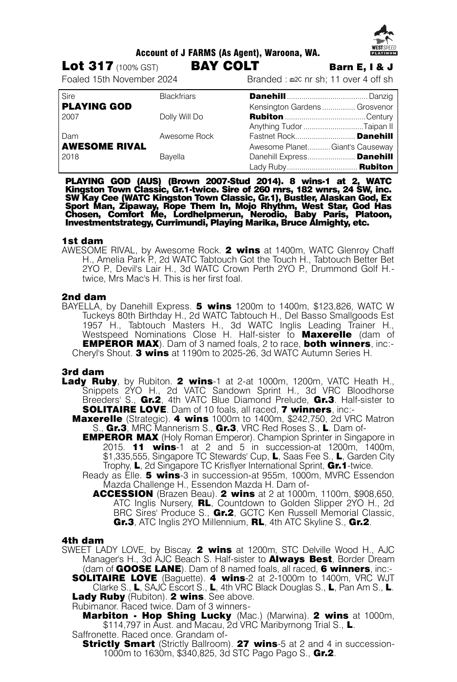 Pedigree - Lot 317