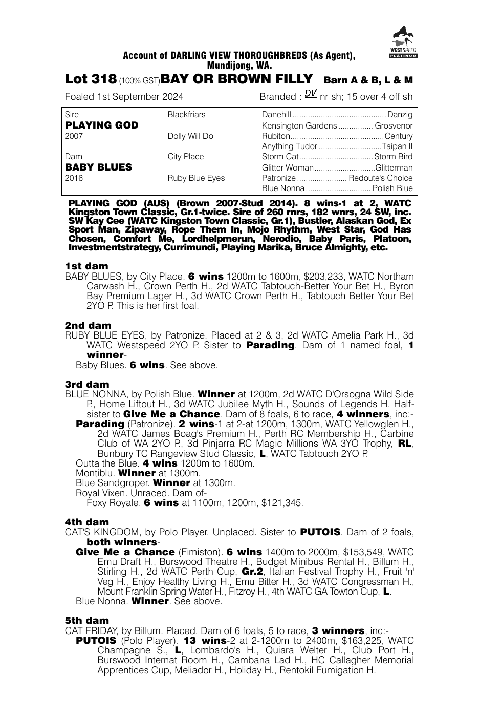 Pedigree - Lot 318