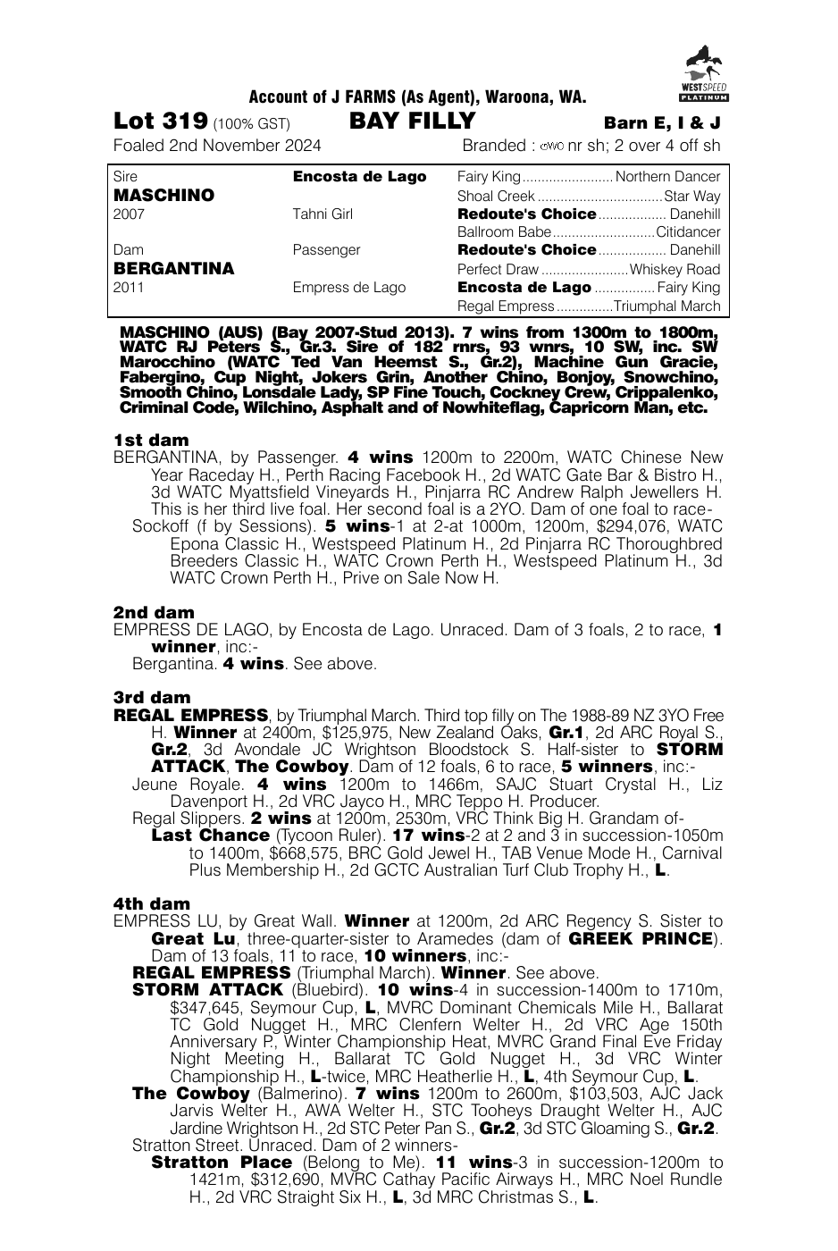 Pedigree - Lot 319