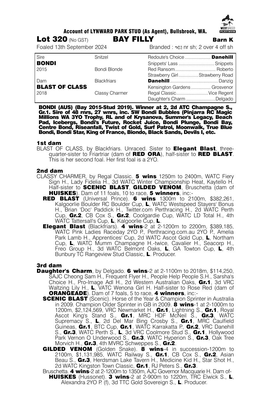 Pedigree - Lot 320