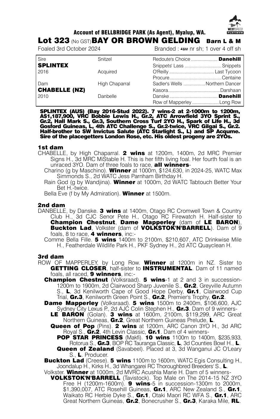 Pedigree - Lot 323