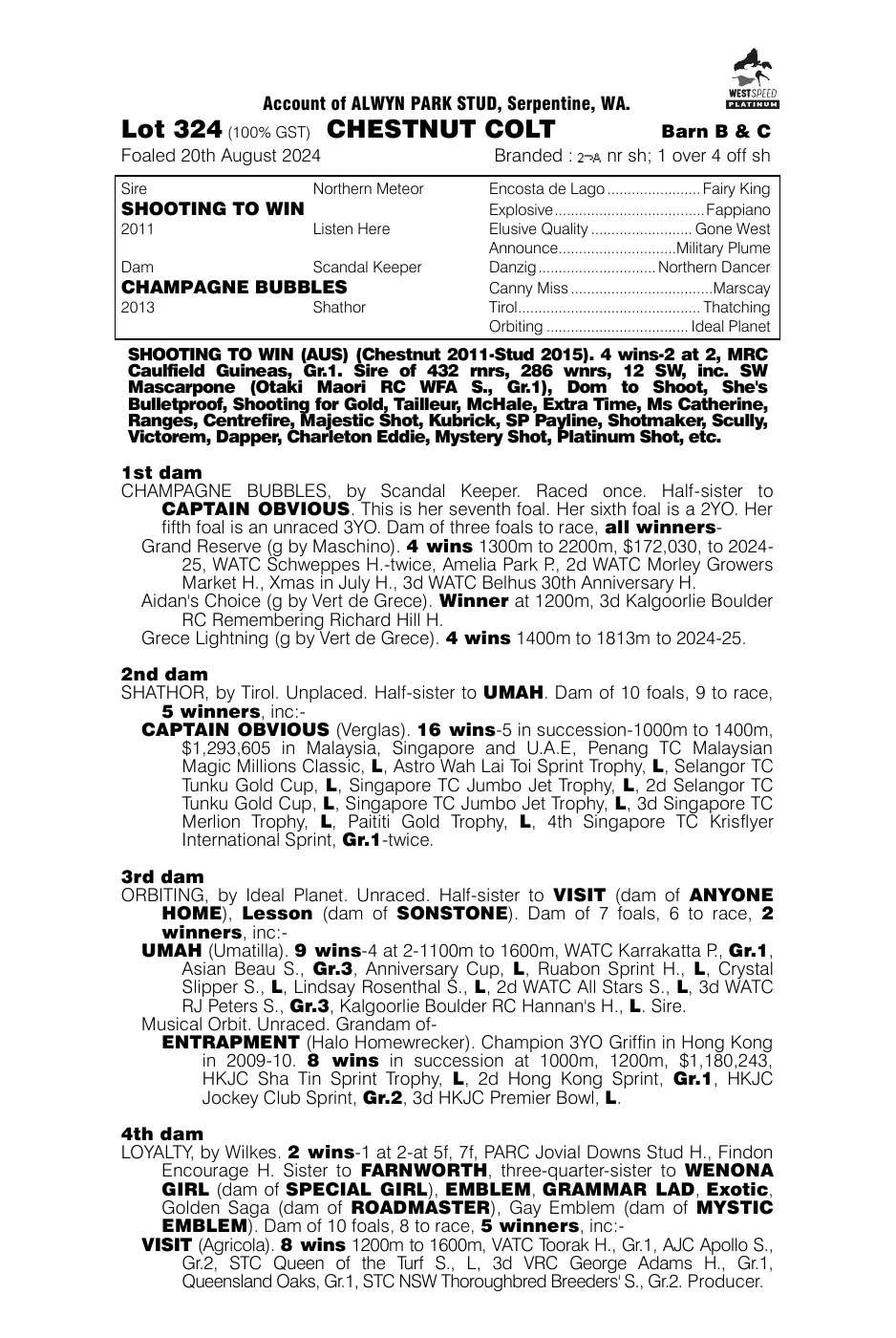 Pedigree - Lot 324