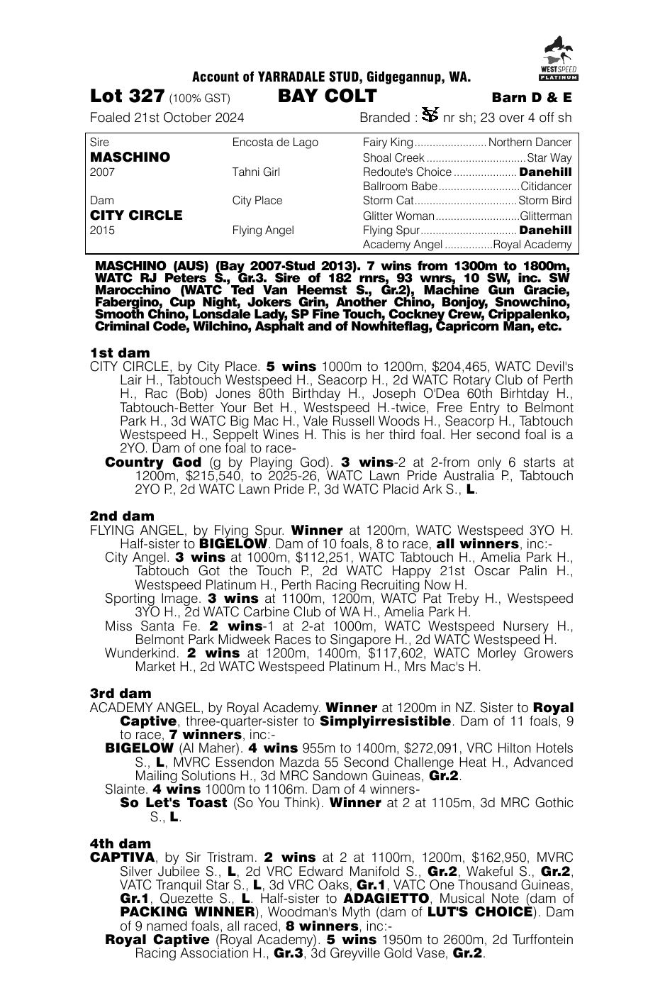 Pedigree - Lot 327